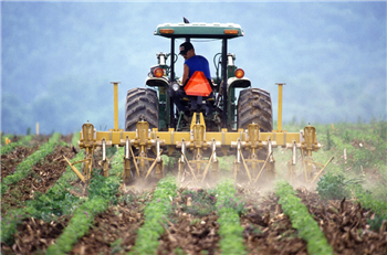 Opportunità per le aziende del settore agroalimentare: pubblicato il bando PNRR da 500 milioni